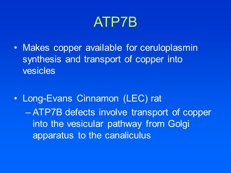 ATP7B Makes copper available for ceruloplasmin synthesis and transport of copper into vesicles 